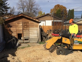 Man using a stump grinding machine in Houston, Tx